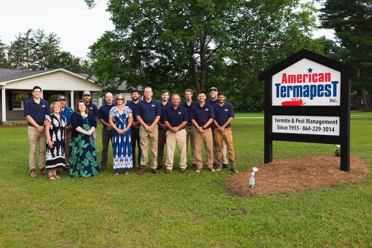 american termapest team