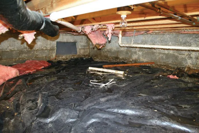 crawl space before 